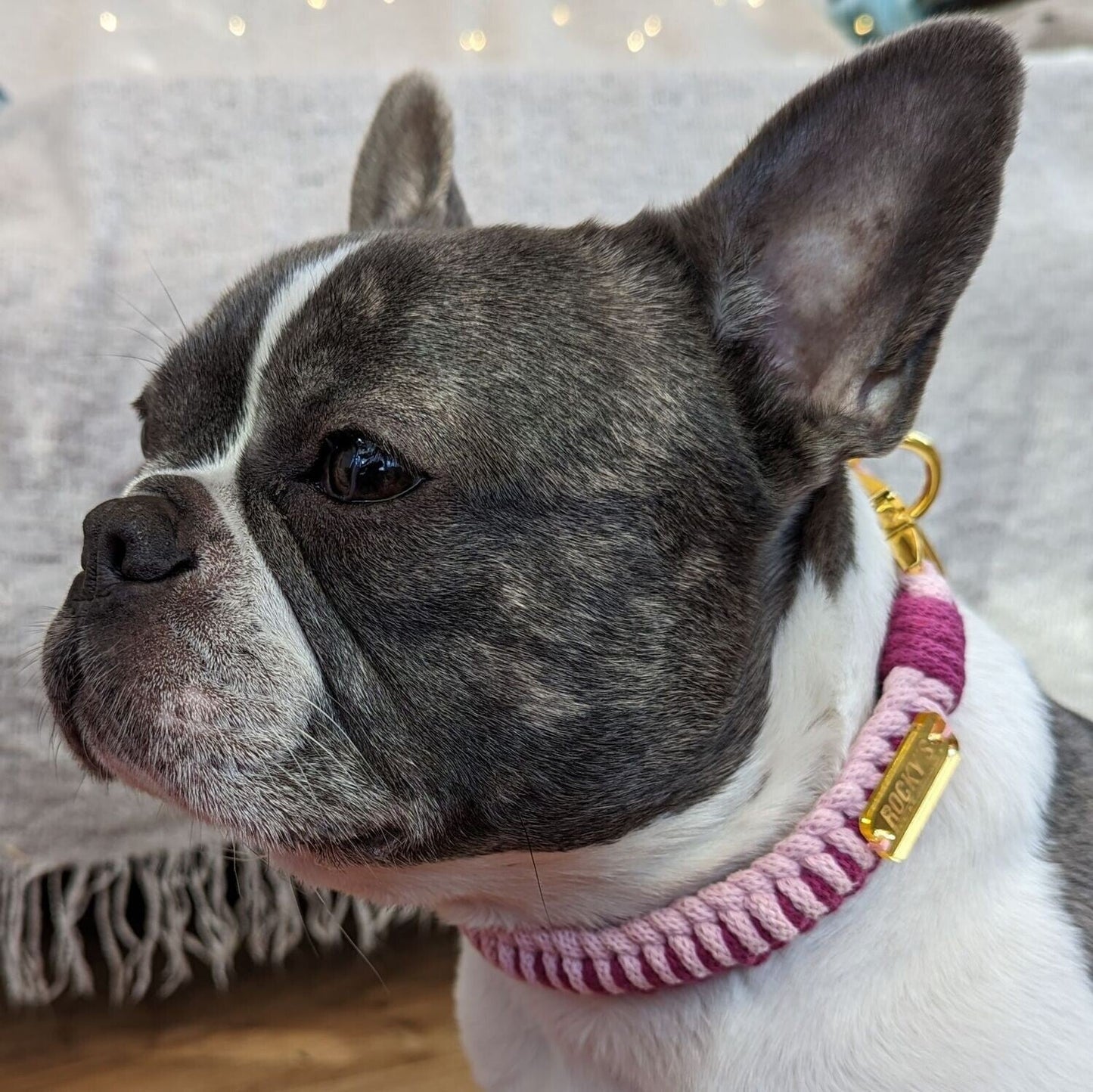Make Your Own Dog Collar Craft Kit - PINK