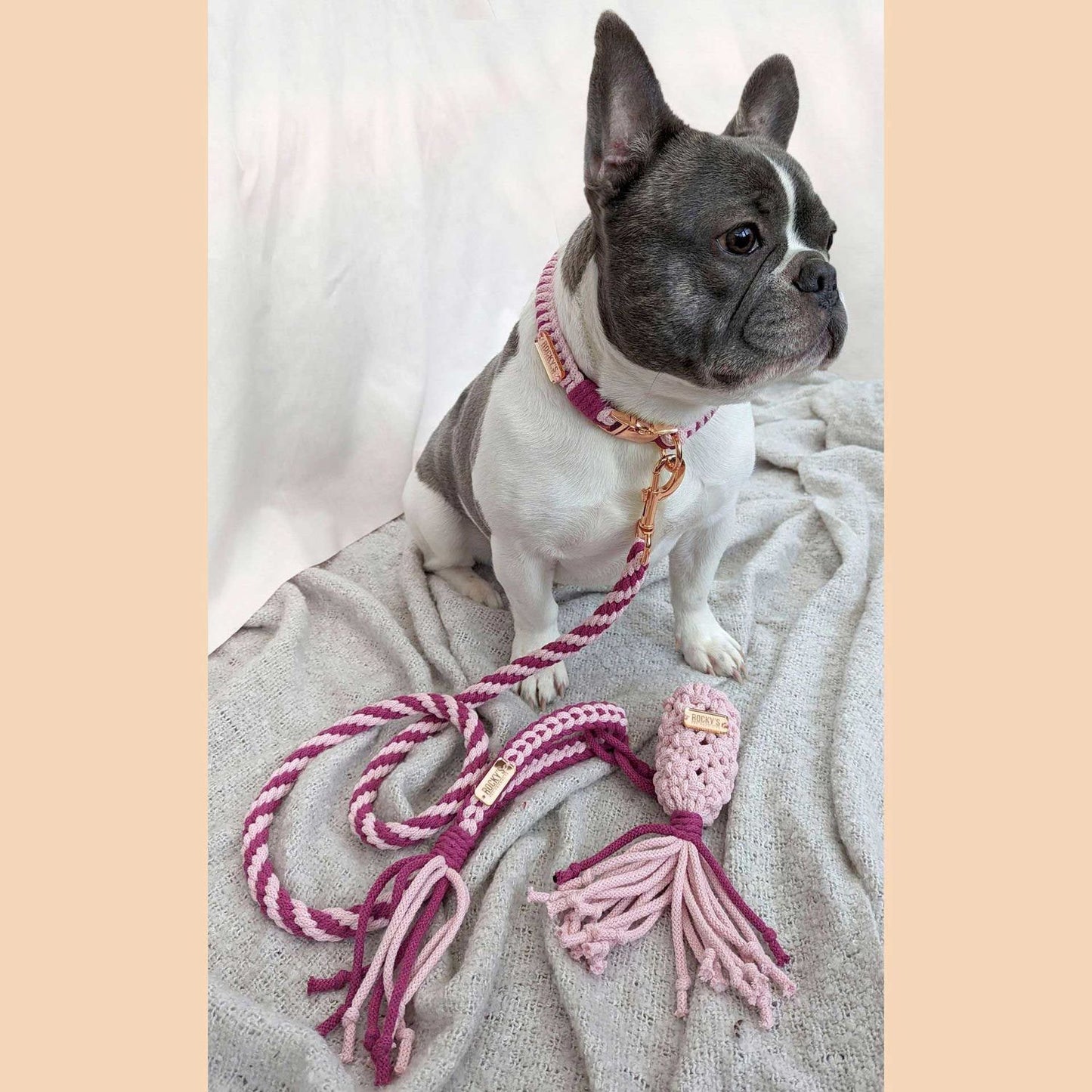 Make Your Own Dog Lead Craft Kit - PINK