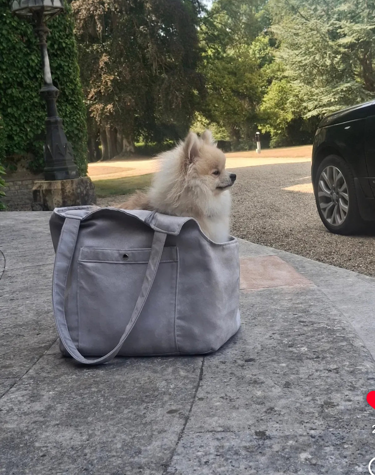 Soho Poms Grey Suede Camden Bear Dog Carrier - ideal for dogs and cats