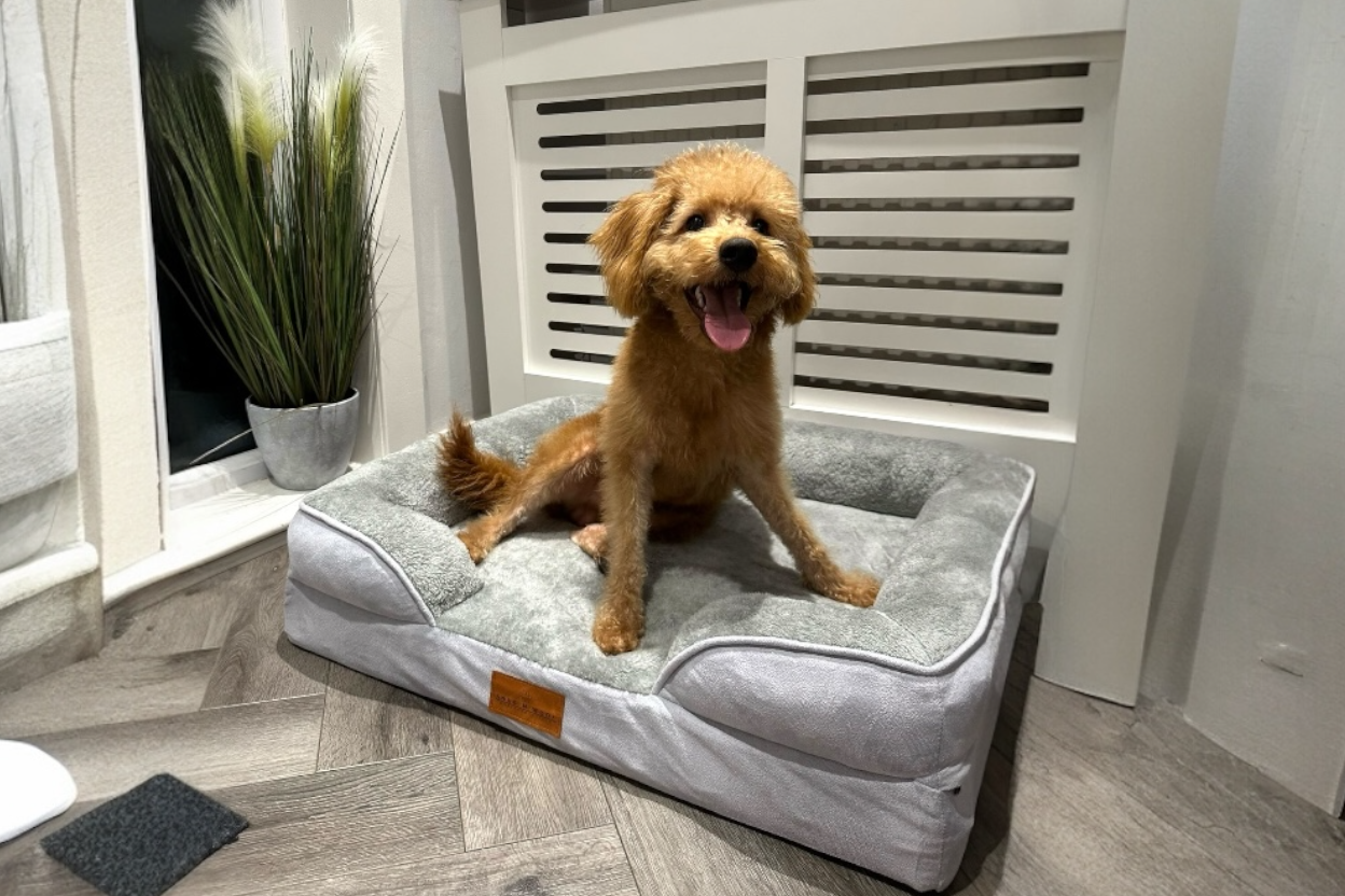The Belgravia Orthopaedic Dog Sofa™ - Medium