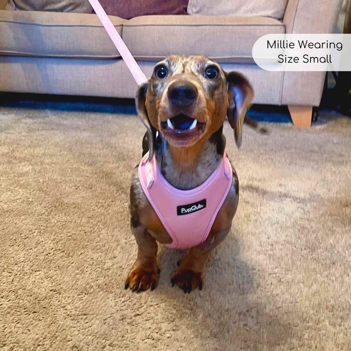 Adjustable Harness - Pastel Pink