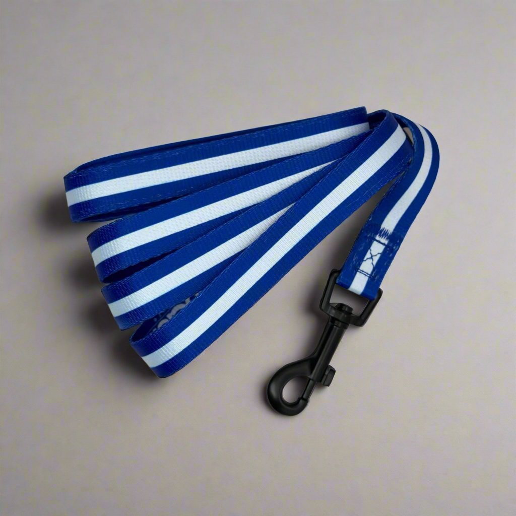 Lead - Royal Blue