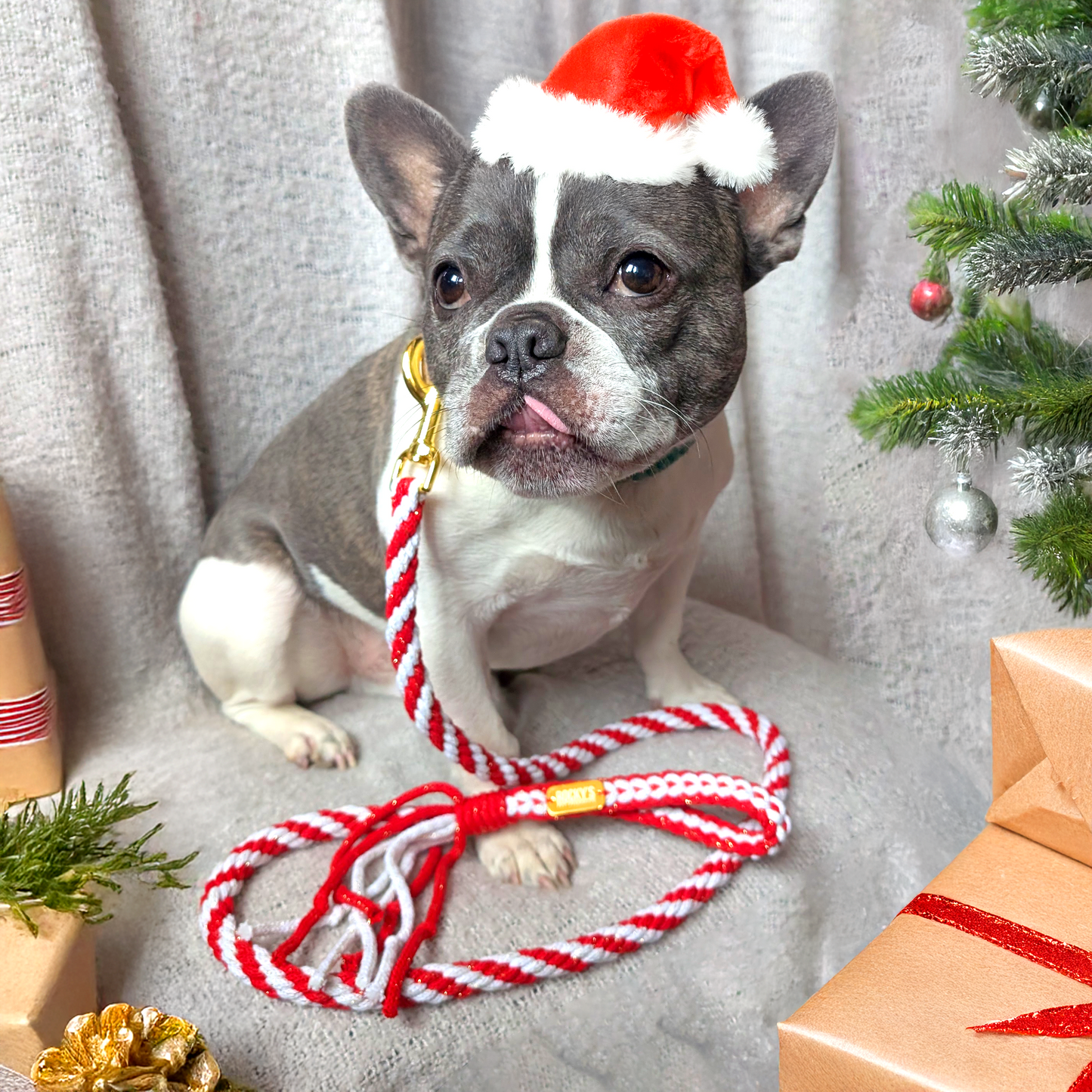 Make Your Own Dog Lead Craft Kit - Candy Cane Sparkle