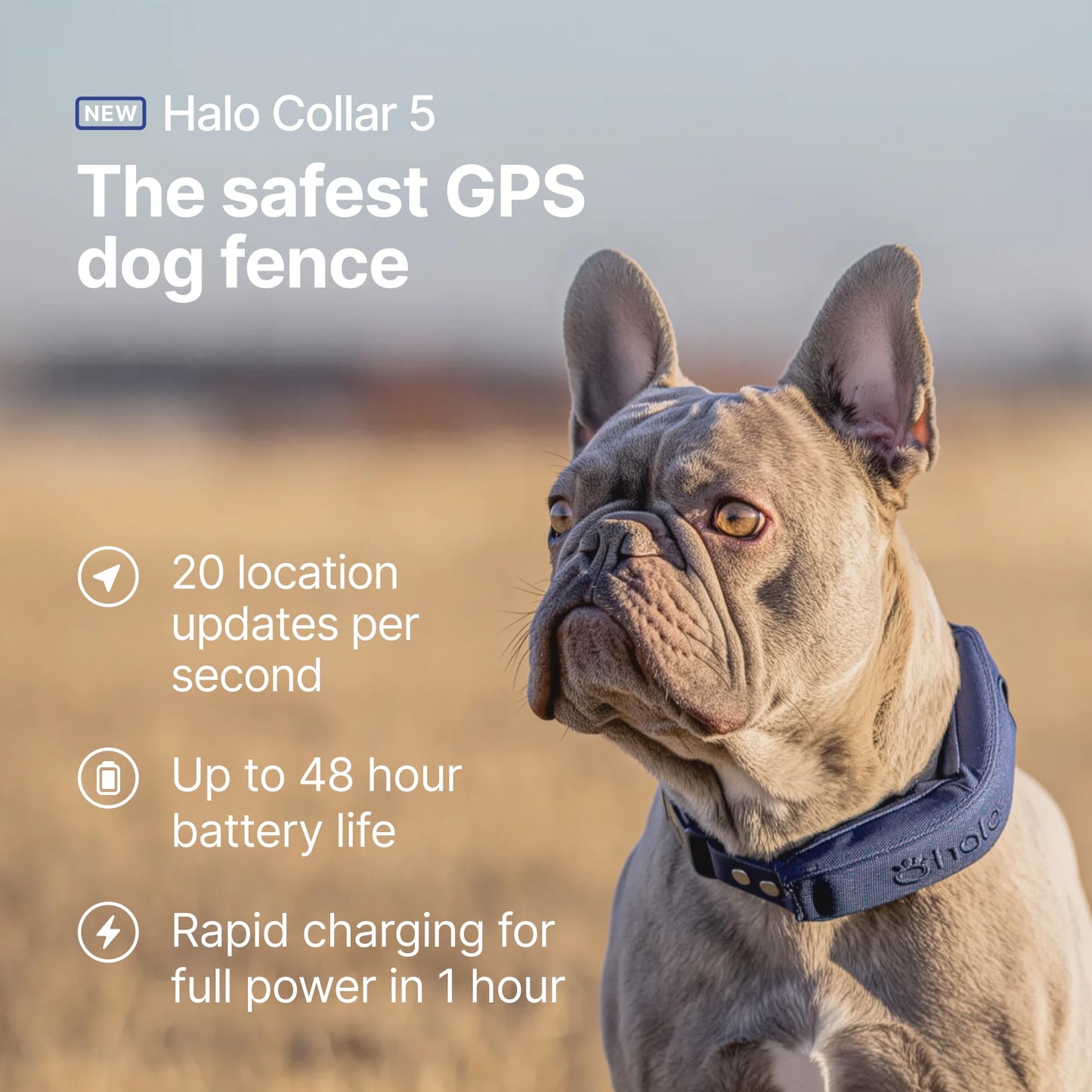 Halo Collar 5 GPS Dog Fence & Waterproof Collar – Real-Time Tracking & Adjustable Fit