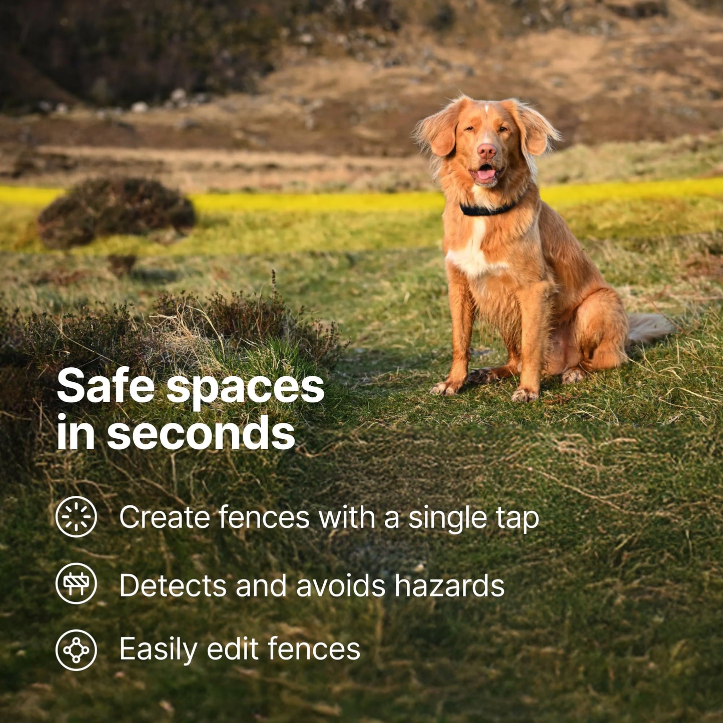 Halo Collar 5 GPS Dog Fence & Waterproof Collar – Real-Time Tracking & Adjustable Fit