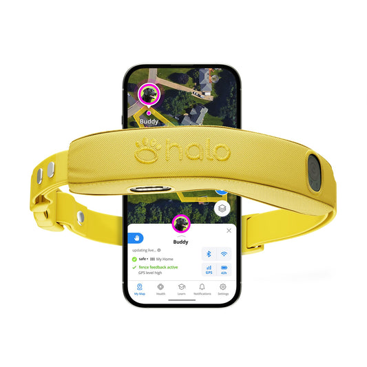 Halo Collar 5 GPS Dog Fence & Waterproof Collar – Real-Time Tracking & Adjustable Fit